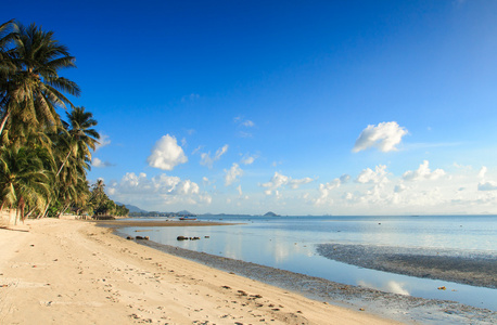 漂亮的热带海滩与一些棕榈树围绕的视图