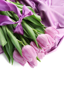 束美丽的紫色郁金香上缎布 孤立在白色
