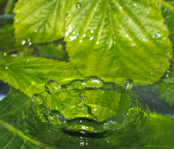 雨水的拖放