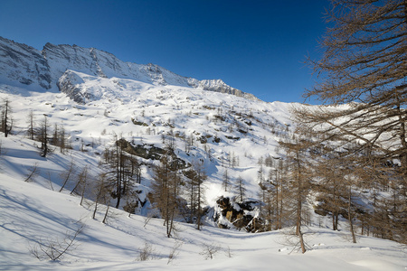 高山景观