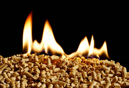 燃烧木屑生物质燃料的可再生的替代来源