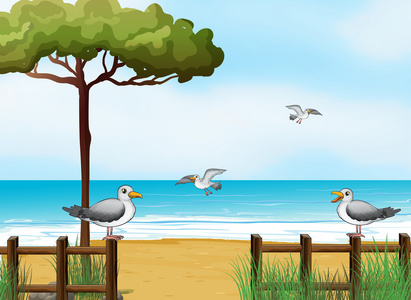 寻找食品在海滩上的鸟