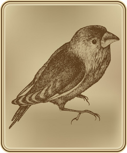 鸟与葡萄酒的帧，手绘图。矢量插画