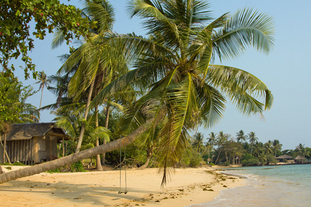 热带海滩与异国风情的棕榈树