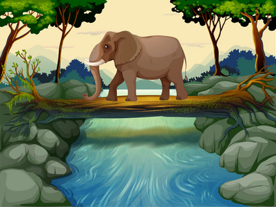 大象渡河
