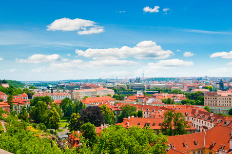 布拉格城市从山的看法