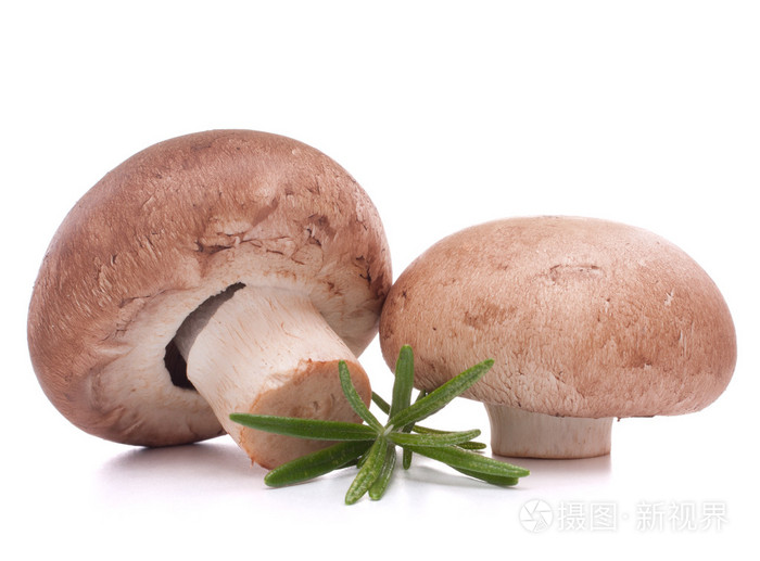 棕色双孢菇蘑菇和迷迭香叶子