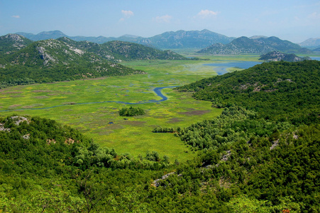 在黑山的 crnojevica 河