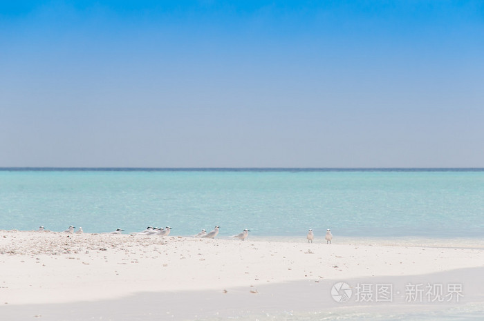海滩马尔代夫