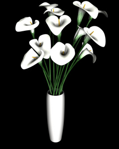   calla 