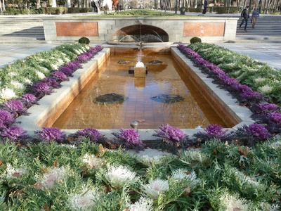 在冬天,马德里,西班牙德雷蒂罗公园