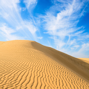 金大印度沙漠沙丘