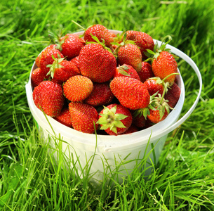 在草地上篮子里的草莓