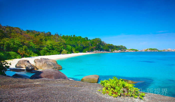 与森林和砂 seashor