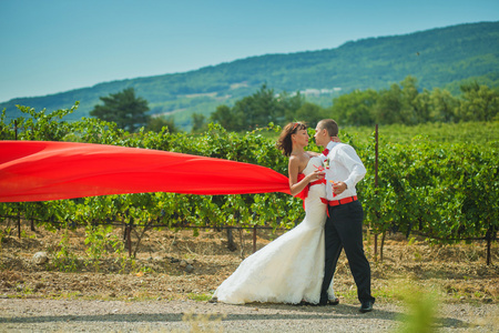 新娘和新郎的葡萄园背景