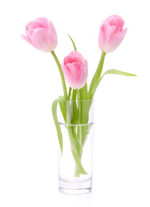 孤立在白色背景上的花瓶里的粉色郁金香花束