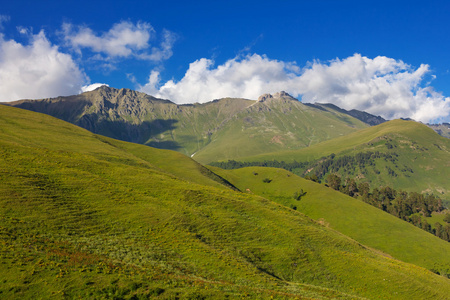 绿山