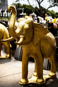 大象雕刻