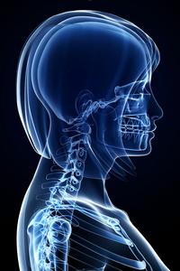 解剖女性脊柱疼痛图片