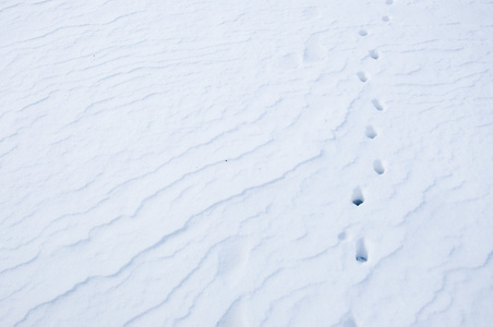 雪详细信息