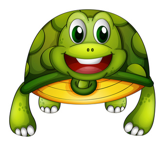 一只绿海龟