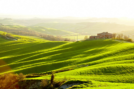 农村，san quirico 奥斯塔山谷，托斯卡纳意大利