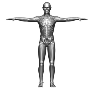 一个人的身体和骨架的 x 射线