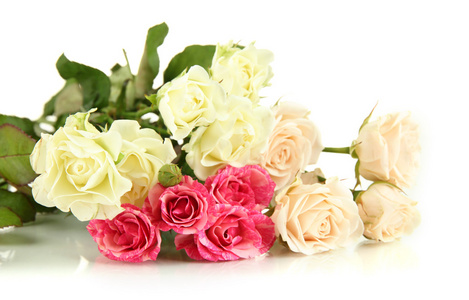 美丽的七彩玫瑰特写上白色隔离