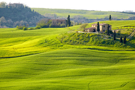 农村，san quirico orcia，托斯卡纳意大利