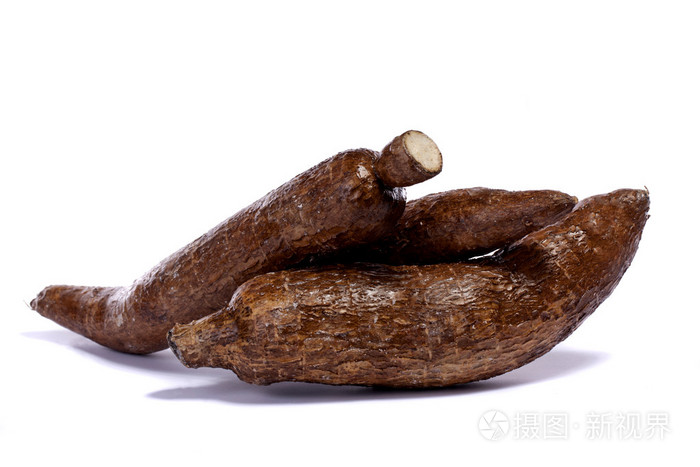 木薯根