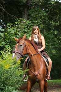 女孩衣服和褐色的马画像在森林