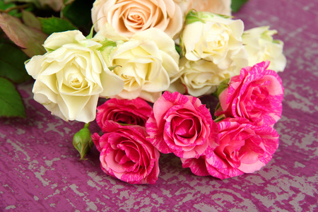 美丽的七彩玫瑰特写，颜色背景上