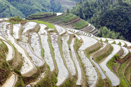 梯田在桂林市龙山