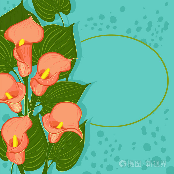 蓝色背景用红色马蹄莲鲜花