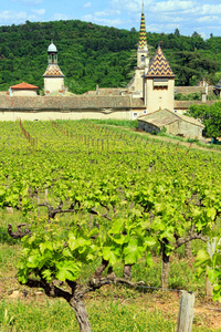 瓦尔博讷与他 vinyard monastery