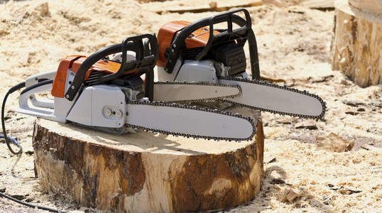 用于在一个新鲜砍伐的树桩上处理木材的链锯