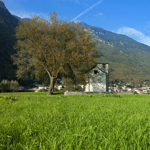 山风景