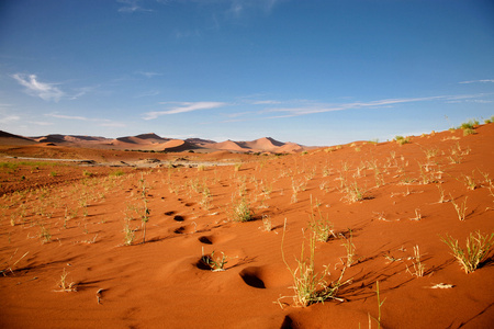 sossusvlei 沙丘