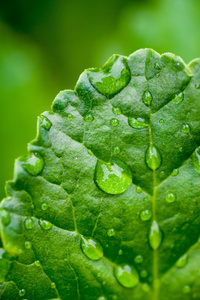 雨中的飞沫