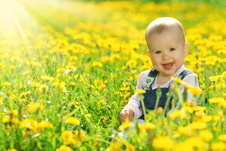 开心宝贝女孩草地上与黄色的花朵的性质