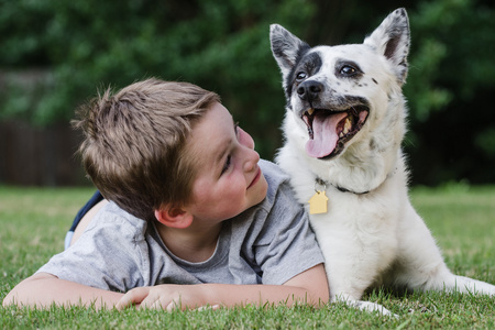 儿童把玩着他的宠物狗，蓝色 heeler