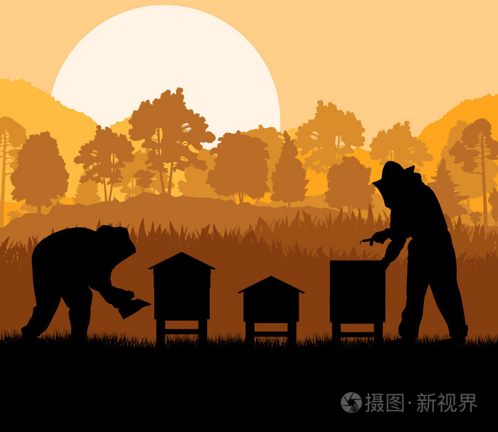 养蜂人在蜂房矢量背景中工作