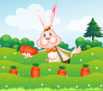 一只兔子在花园里举行一根胡萝卜