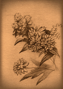 复古的花卉素描纸