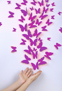 不同的方向在墙上的纸蝴蝶飞图片