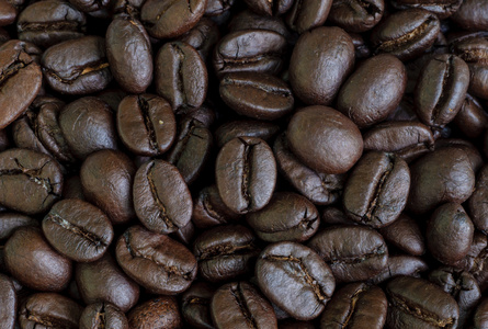 咖啡豆种子