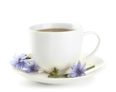 喝杯茶与菊苣，孤立在白色