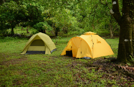 在郁郁葱葱的绿色营地上的两个帐篷