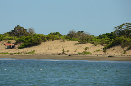 在巴拿马的海洋上沙丘图片