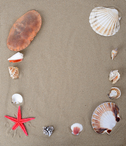 沙海滩和贝壳图片